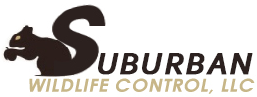 Suburban Wildlife Control, LLC